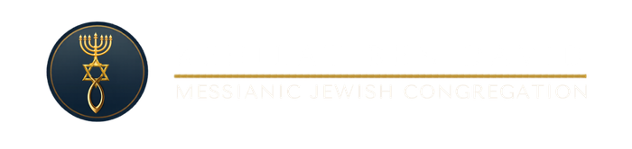 Kehilat Ben David- logo-Oceanport,NJ